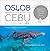 Oslob Cebu Swimming with Wh...