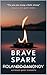BRAVE SPARK
