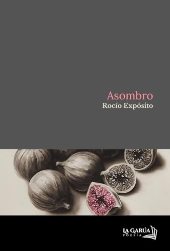Asombro (Paperback)
