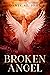Broken Angel: A Spicy FFM P...