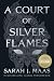 A ​Court of Silver Flames (A Court of Thorns and Roses, #5)