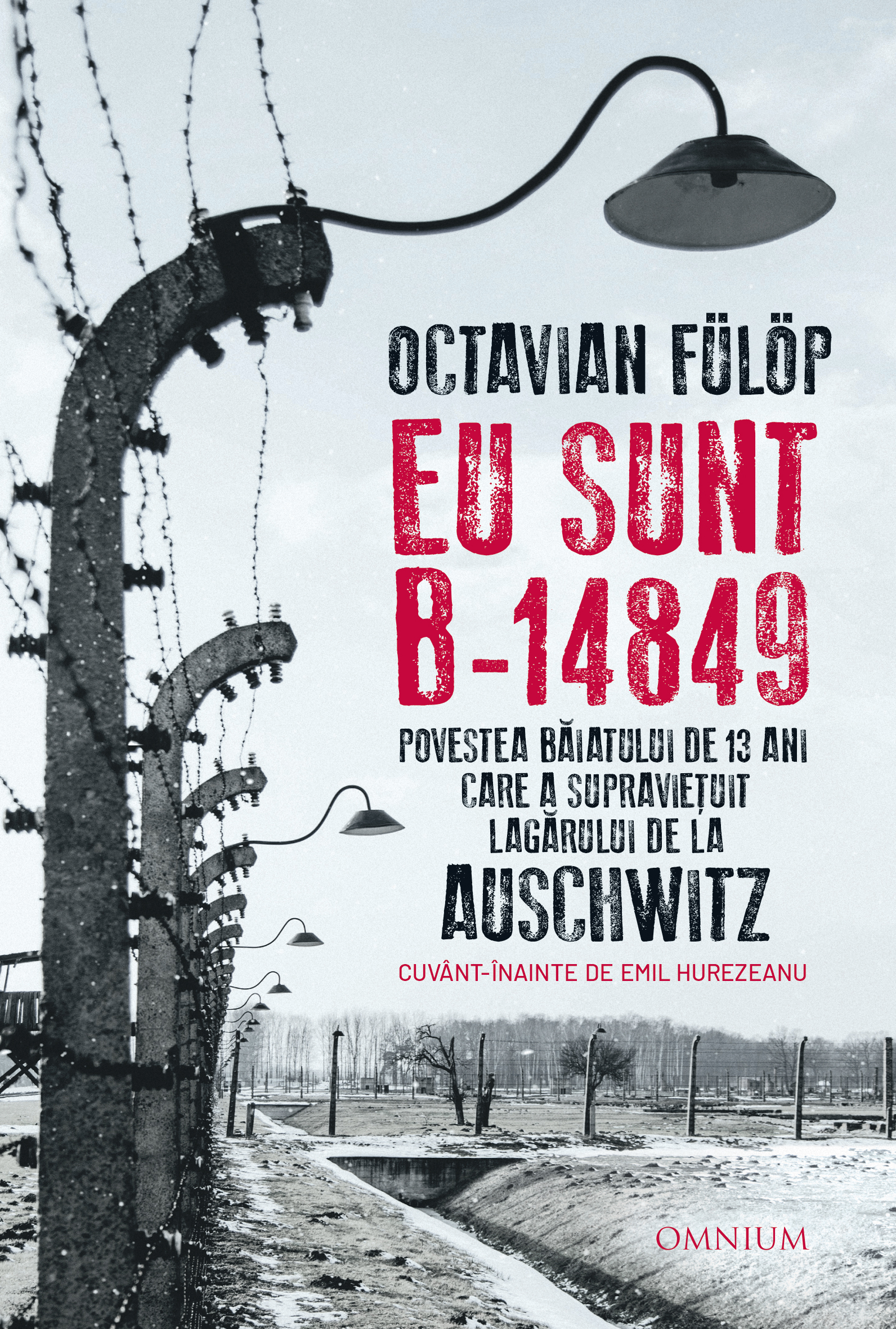 Eu sunt B-14849 (Paperback)