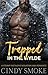 Trapped in the Wylde: A Steamy Age Gap Instalove Romance (Wylde Mountain Rescue Book 3)