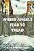 Where Angels Fear to Tread:...