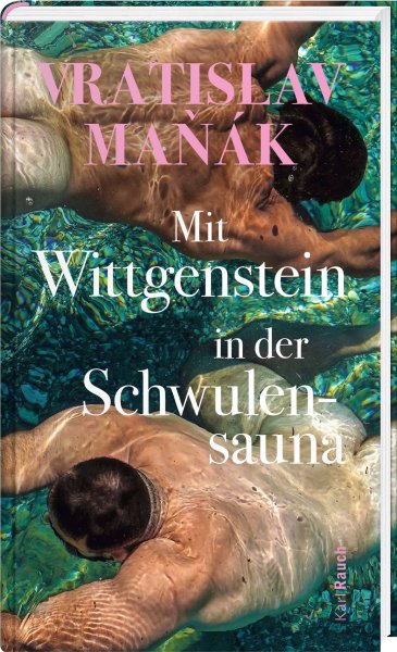 Mit Wittgenstein in der Schwulensauna (Hardcover)