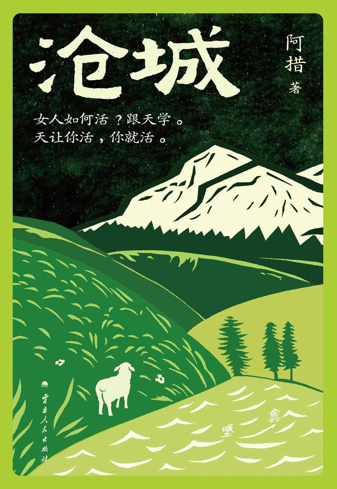 沧城 (Paperback)