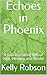 Echoes in Phoenix: A Solo J...