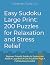 Easy Sudoku Large Print: 20...