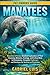 MANATEES: Manatees in Focus...