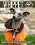 WHIPPET by Jeff Fielding