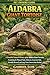 ALDABRA GIANT TORTOISE: A D...