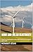 WIND AND SOLAR ELECTRICITY:...