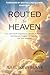 Routed to Heaven: How Near-...