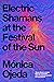 Electric Shamans at the Festival of the Sun