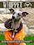 WHIPPET by Jeff Fielding
