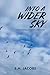 Into A Wider Sky: A Tragic Novel of Good Intentions