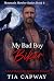 My Bad Boy Biker (Mountain Howler #6)
