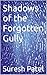 Shadows of the Forgotten Gully