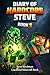 Diary of Hardcore Steve by Steve Blockman