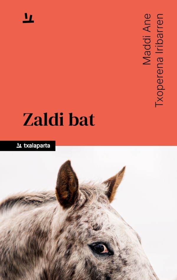 Zaldi bat (Paperback)