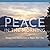 Peace in the Morning: Image...