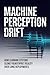 MACHINE PERCEPTION DRIFT: How learning systems slowly reinterpret reality over long deployments