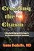Crossing the Chasm: A Soulful Bridging of the Gaps in the Corona Crisis and Ourselves