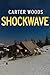 Shockwave: An EMP Post Apocalypse Prepper Survival Thriller