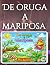De oruga a mariposa: Una tr...