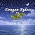 Dragon Riders: The Adventur...
