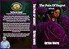 The Pain Of Regret by Devon White