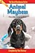 Animal Mayhem: When Wild Th...