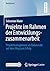 Projekte im Rahmen der Entwicklungszusammenarbeit: Projektmanagement als Balanceakt auf dem Weg zum Erfolg (BestMasters) (German Edition)