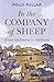 In the Company of Sheep: Fr...