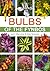 Bulbs of the Fynbos