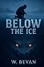 Below the Ice: A Modern Fan...