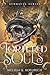 Tortured Souls (The Avonleya Series)