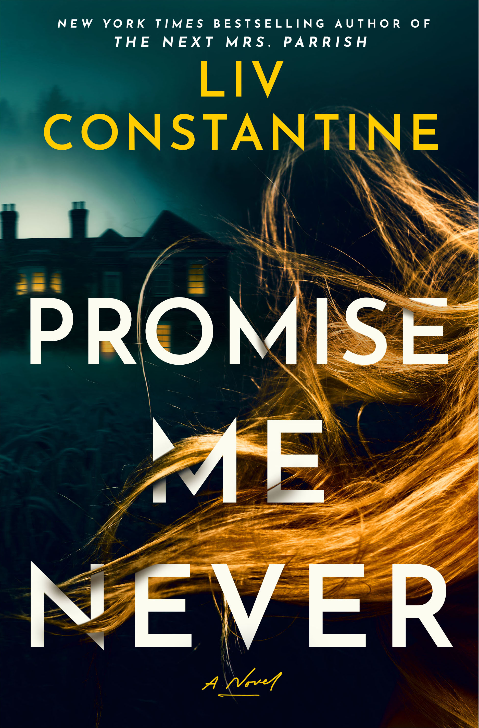 Promise Me Never (Hardcover)