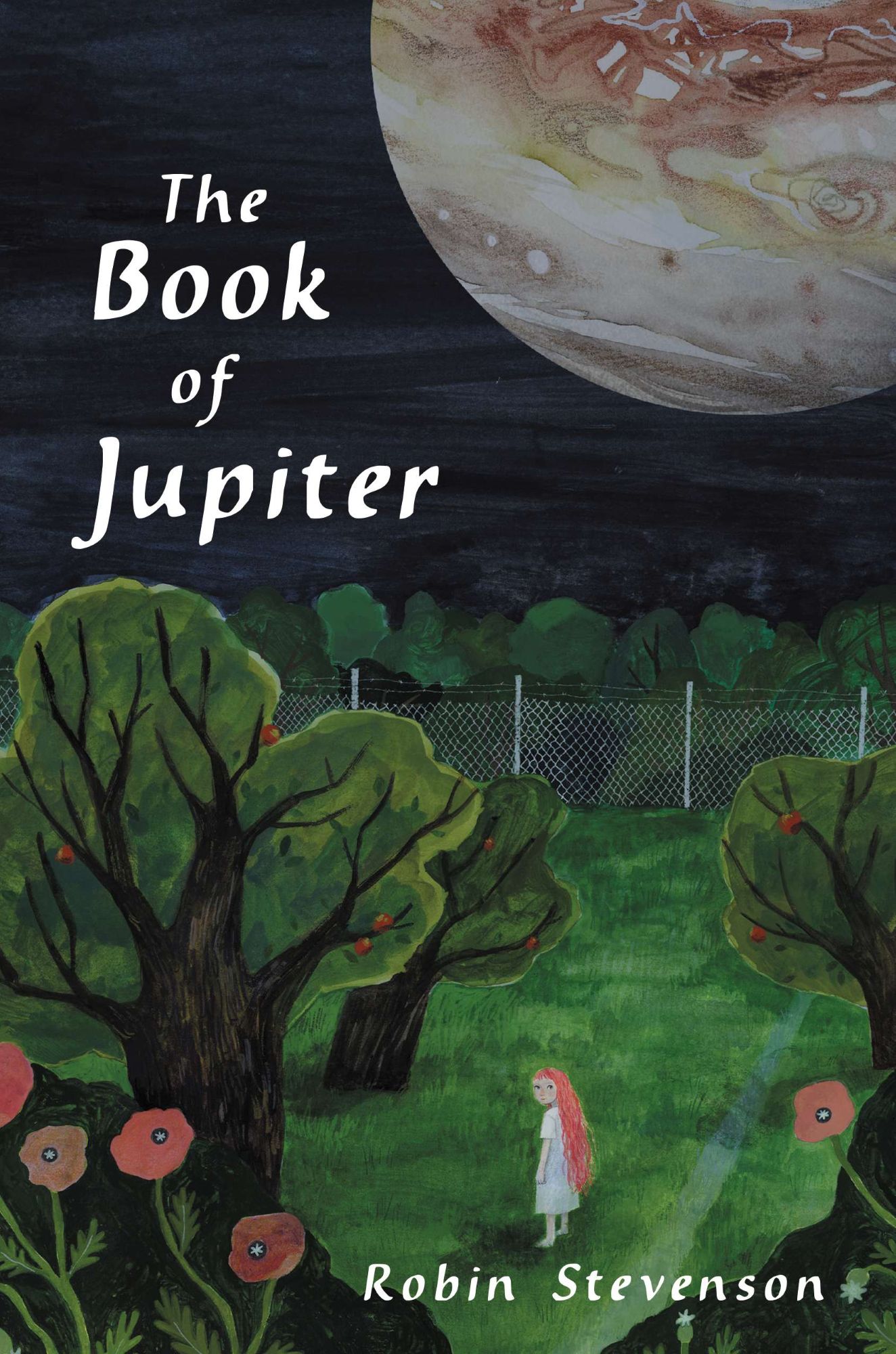 The Book of Jupiter (Hardcover)