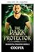 El Protector Oscuro (Dragones Elementales, #2)