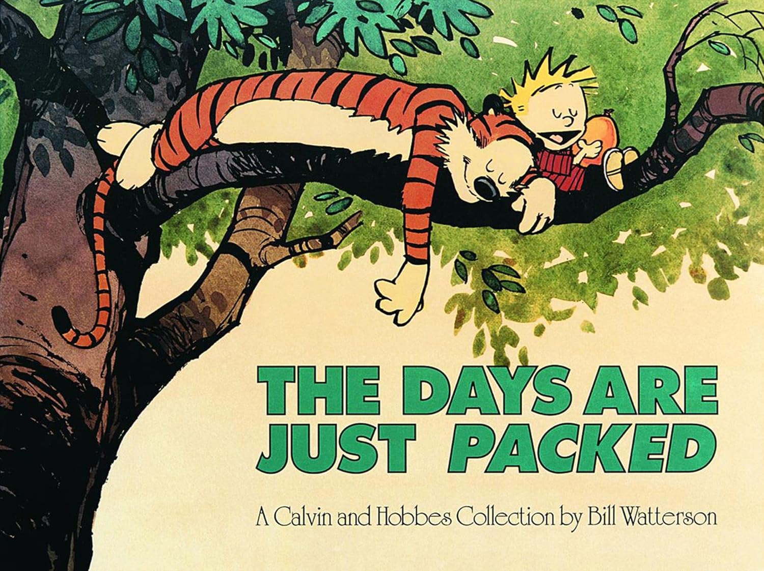 The Days Are Just Packed (Calvin and Hobbes, #8)