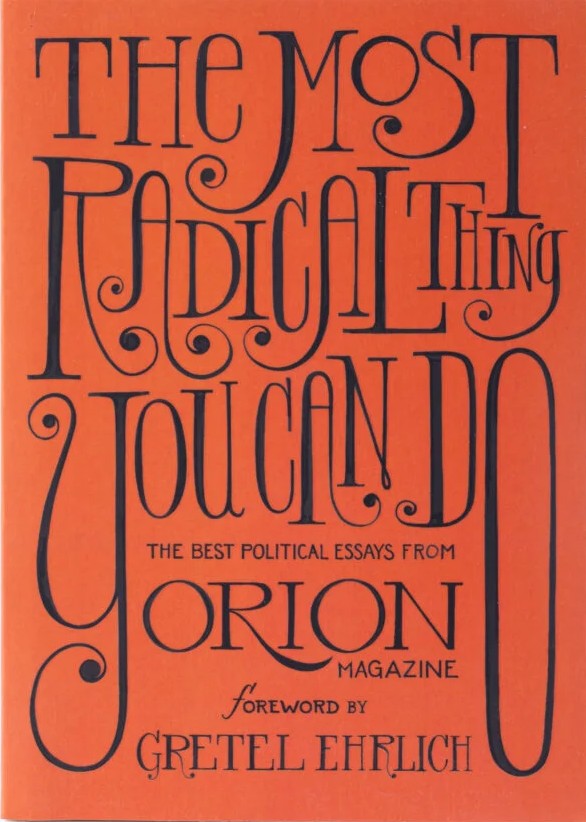 The Most Radical Thing You Can Do: The Best Political Essays From Orion Magazine (Paperback)