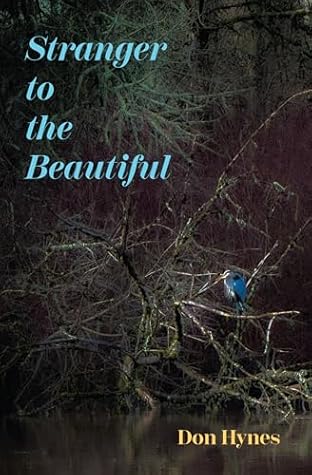 Stranger to the Beautiful: A Journey of Faith, Hope, and Transformation