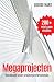 Megaprojecten: Handboek voo...