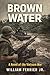 BROWN WATER by William Ferrier Jr.