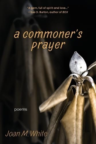 A commoner's prayer: poems (Paperback)