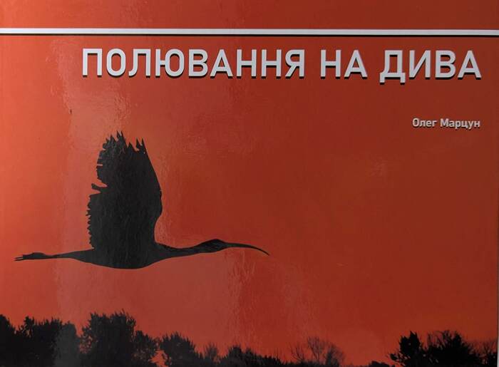 Полювання на дива, або Записки іронічного натураліста. Частина 1 (Hardcover)