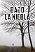 Bajo la Niebla