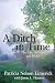 A Ditch in Time: The City, ...