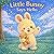 Little Bunny Says Hello